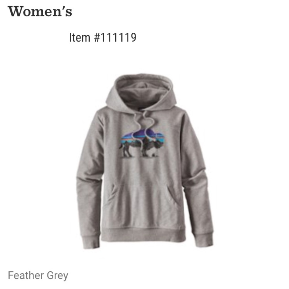 Patagonia fitz Roy sweatshirt grey